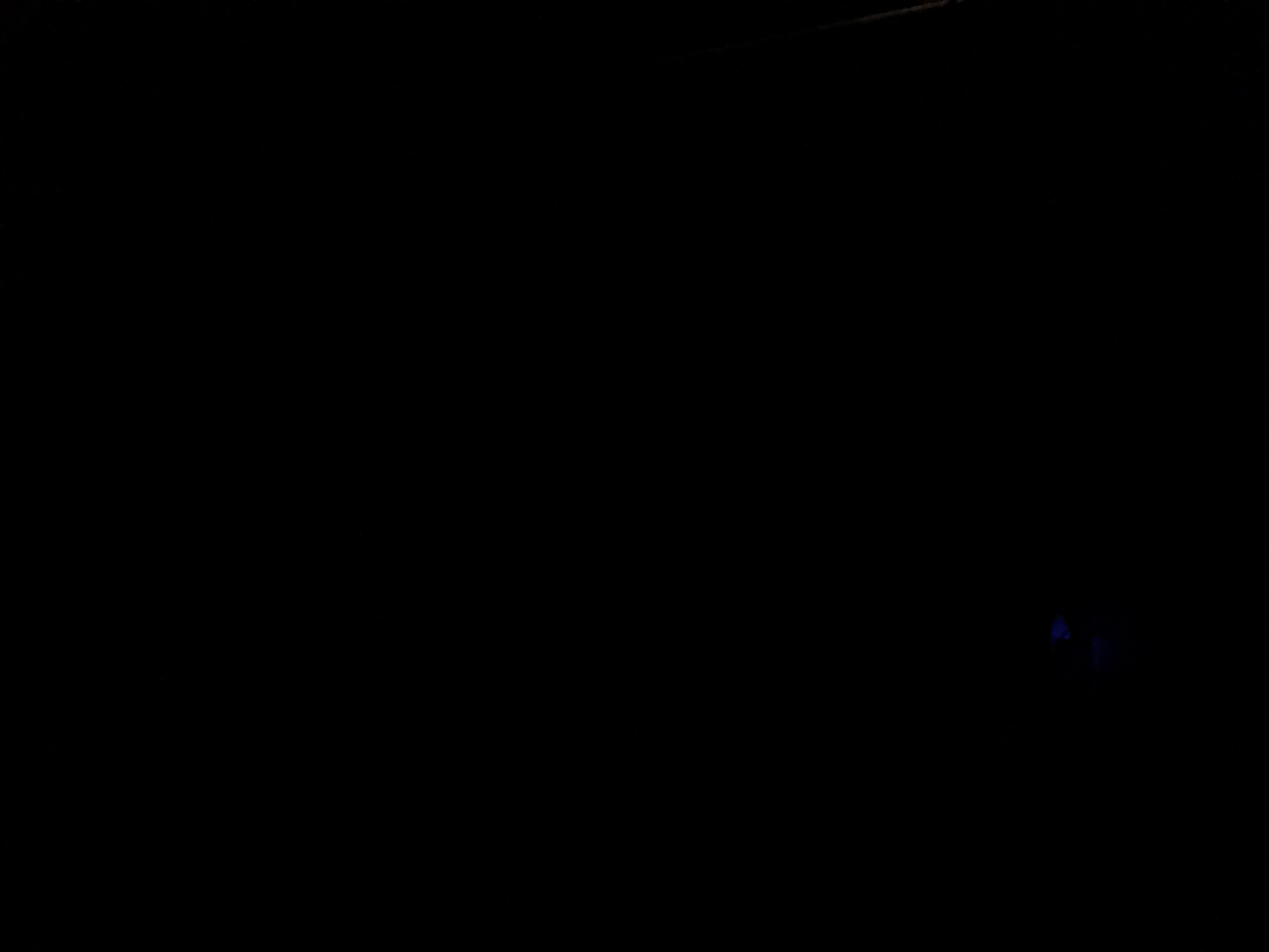 Maxcrawford's Profile Photo