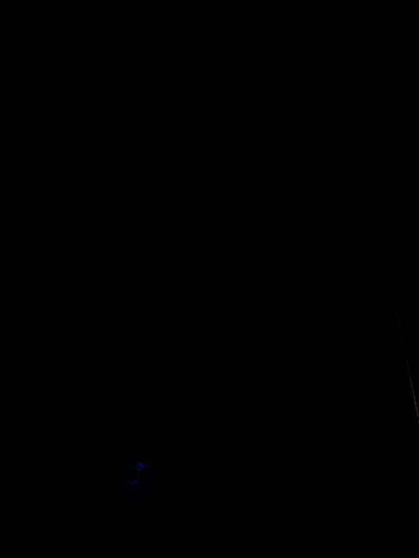 Maxcrawford, 19 years old from United States