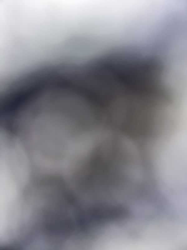 nesir61675, 19 years old from United States