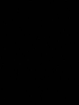 risytapo's Profile Photo