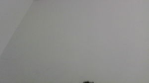 chill_guy231's Profile Photo