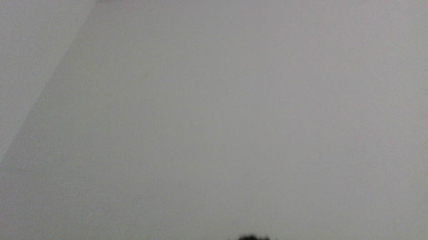 chill_guy231, 18 years old from United States