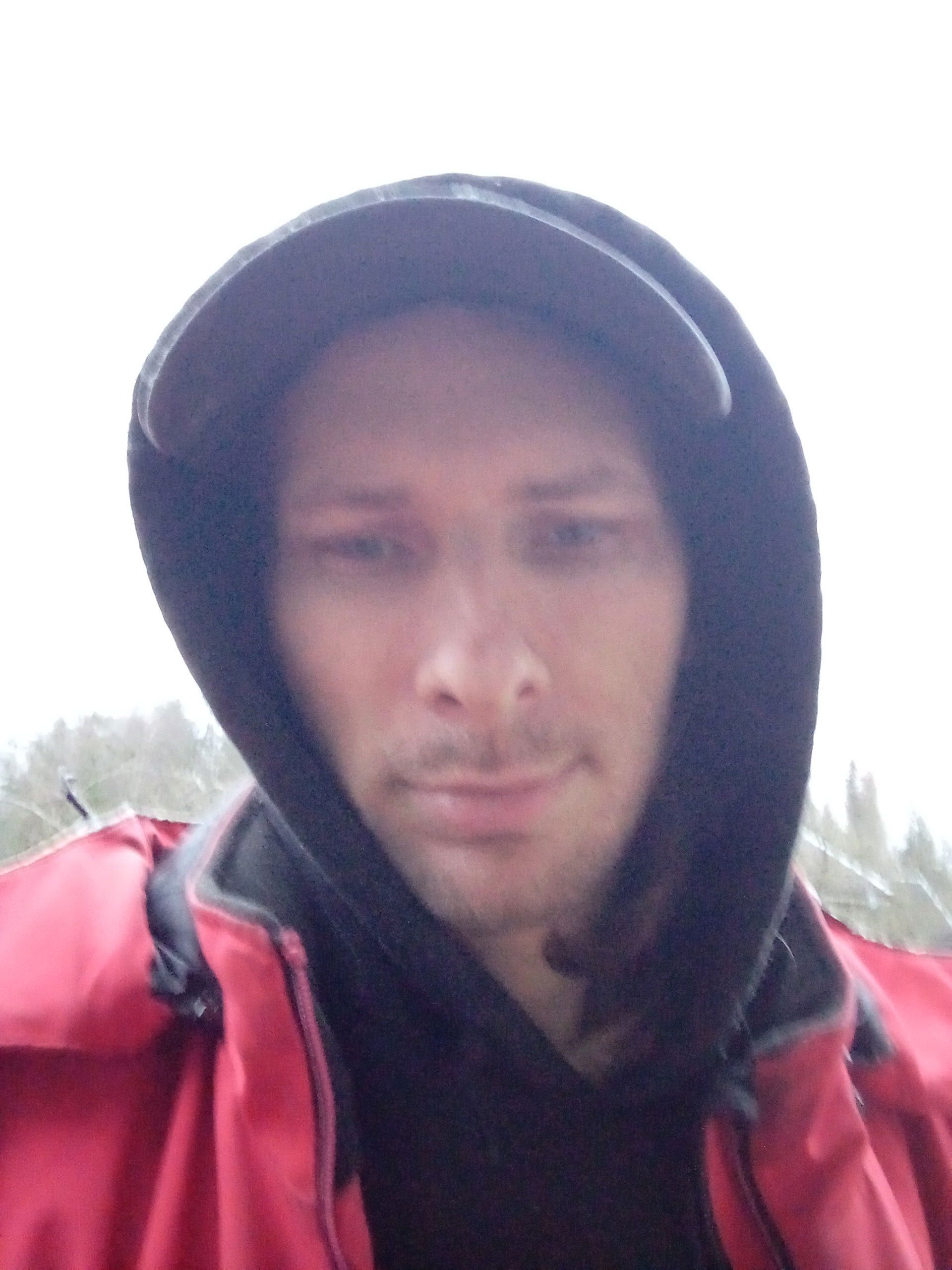 kavaliskavalis243's Cover Photo