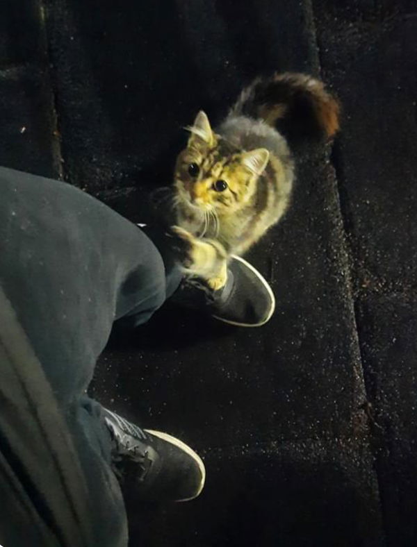 ozkayaemin433, 19 years old from Turkey