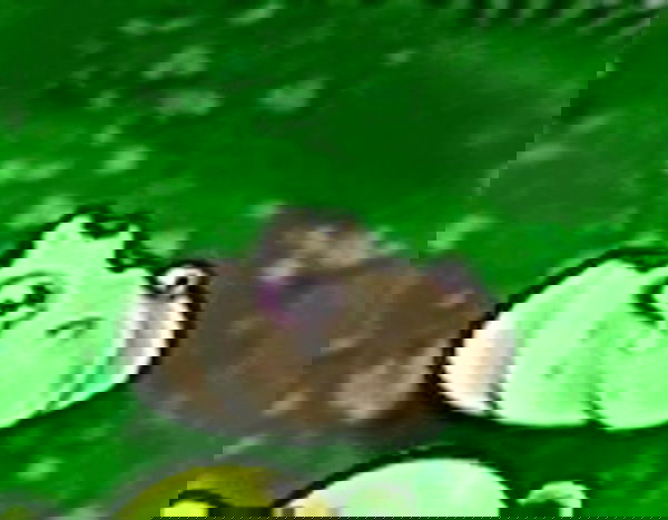 nicaa745, 20 years old from Malaysia