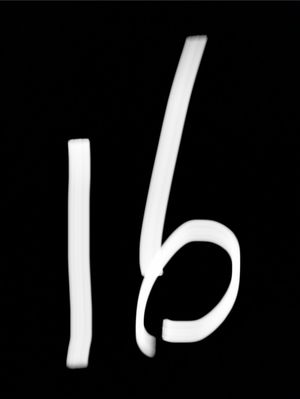 Bradymartins's Profile Photo