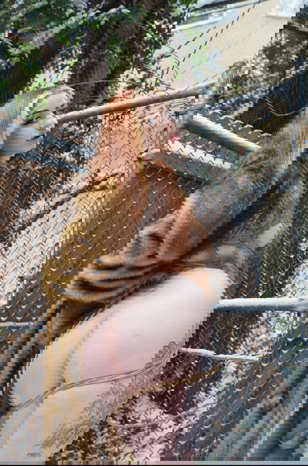 Jusiaxx9661, 25 years old from United States