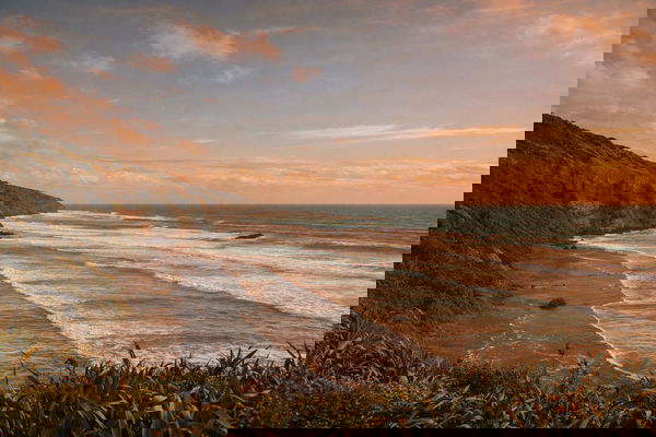 Djw, 31 years old from New Zealand