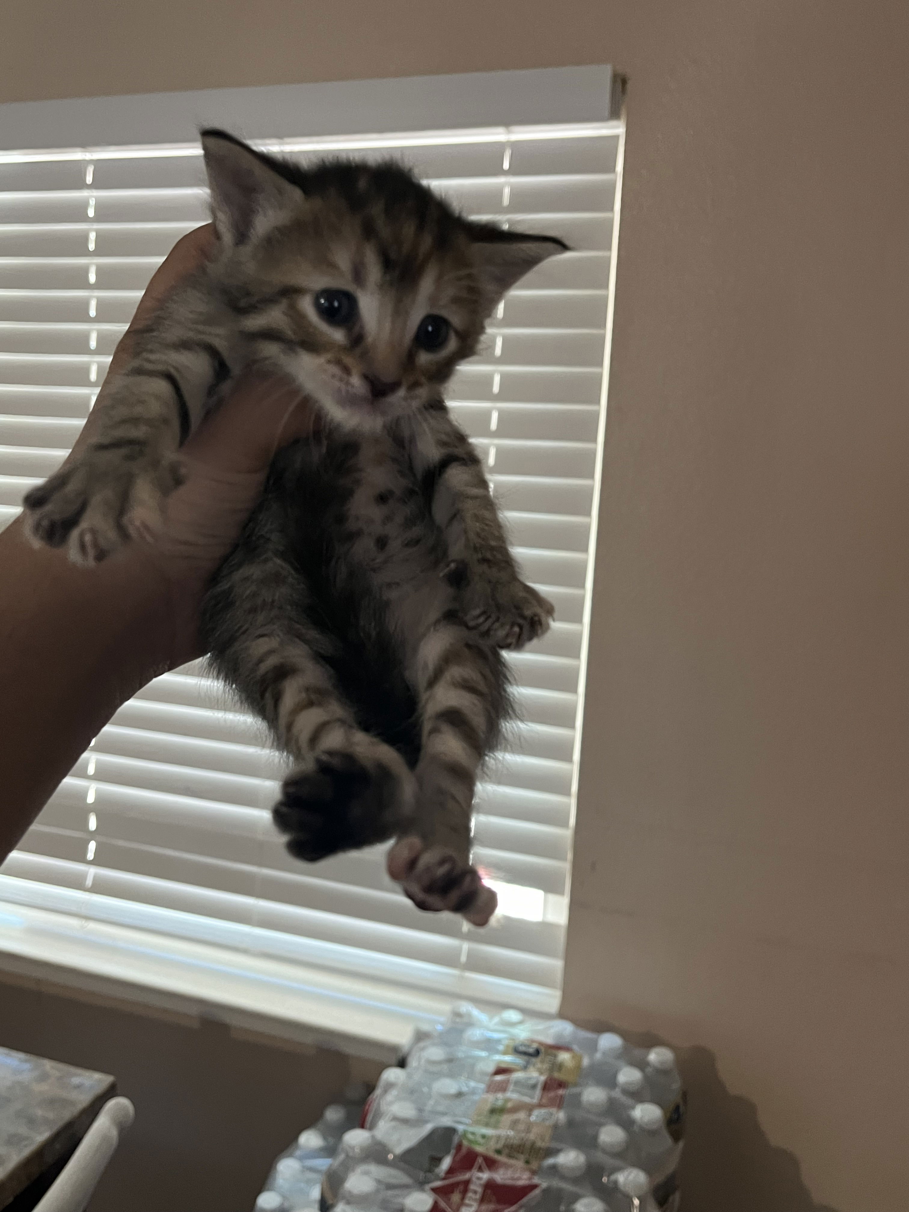 jaoahsbehw's Cover Photo