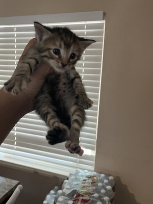 jaoahsbehw's Profile Photo