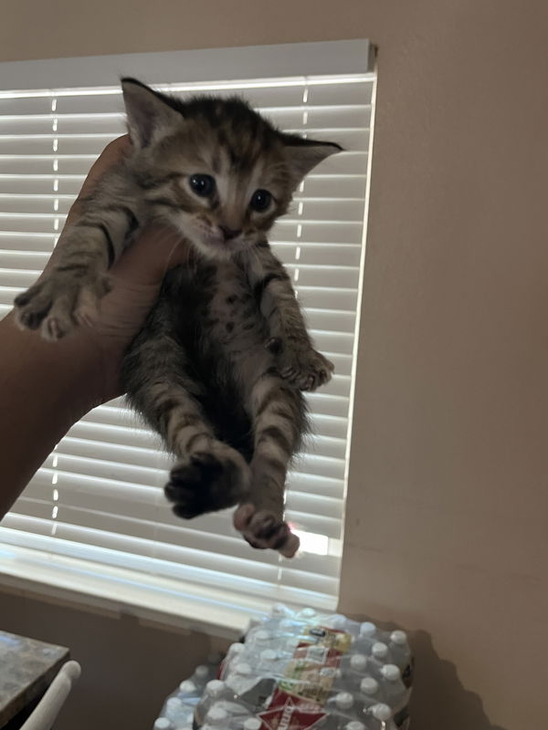 jaoahsbehw, 19 years old from United States