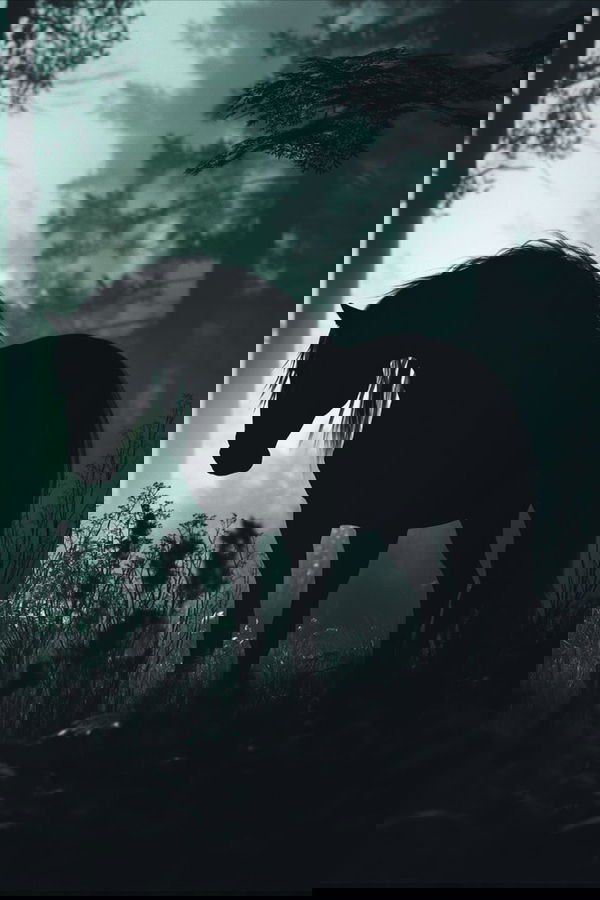 sau964169, 20 years old from India