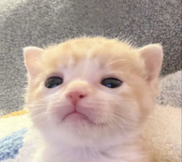 Yad, 18 years old from United States