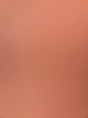 dangoldberg778's Profile Photo