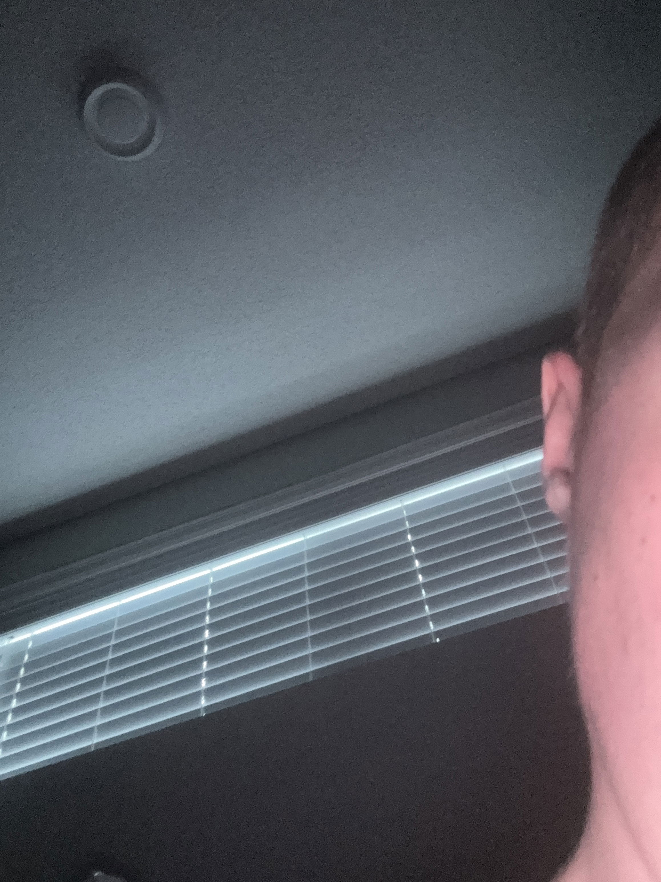 largeenis's Profile Photo