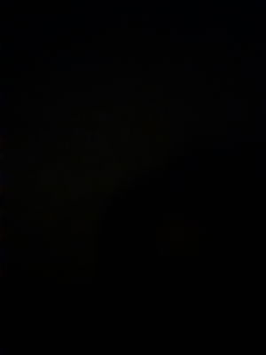 gerhardr2001's Profile Photo