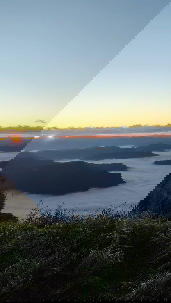 jackboro65, 24 years old from Colombia