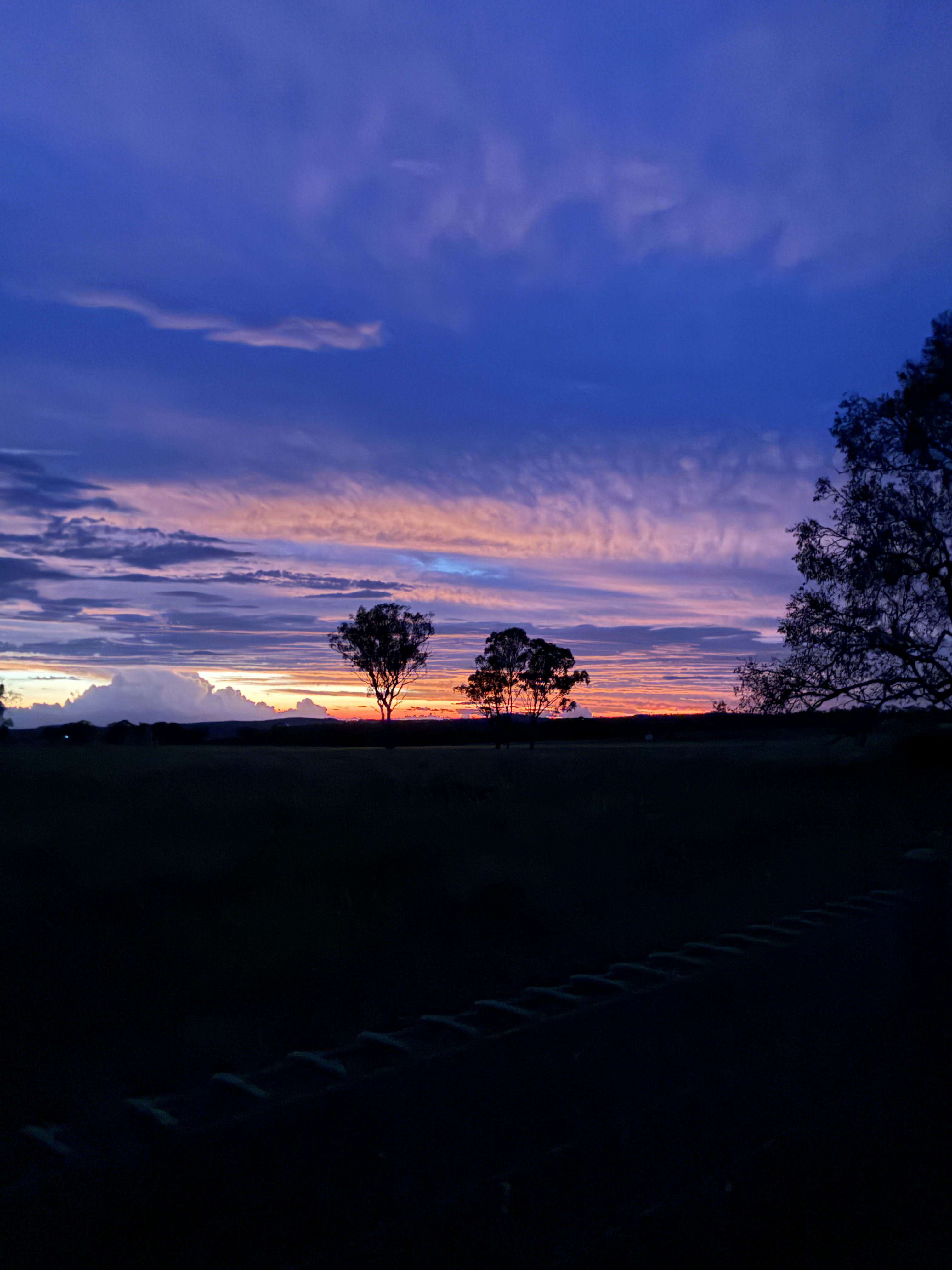 liam_s's Profile Photo