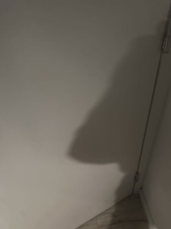 Nieck, 19 years old from Netherlands