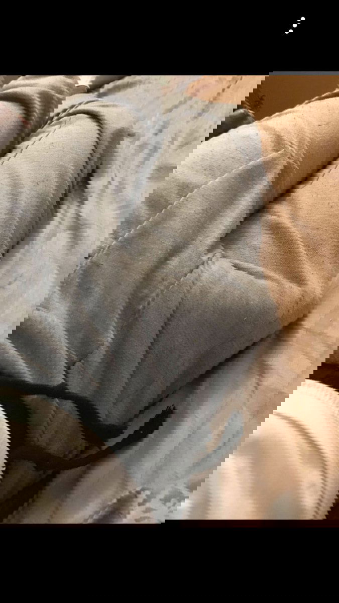 mikeeatspuh's Profile Photo