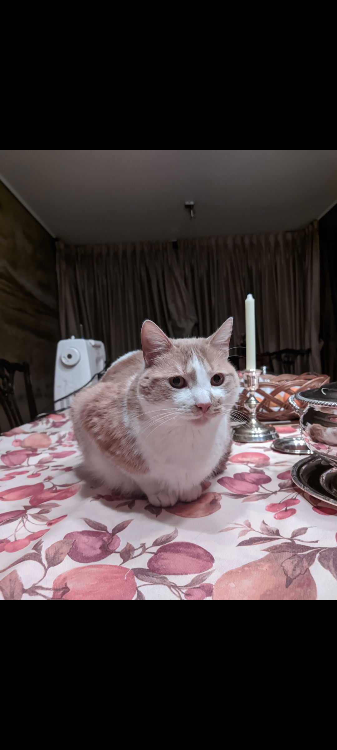 Vince20cm's Profile Photo