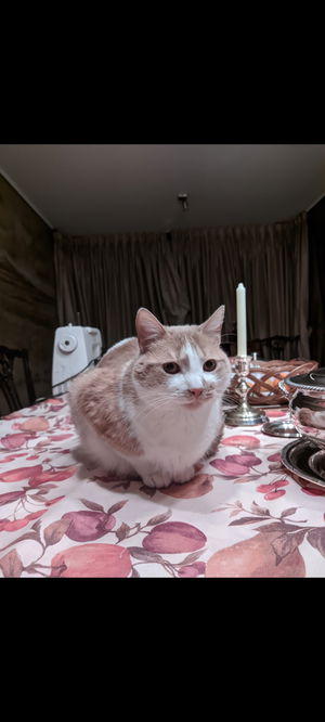 Vince20cm's Profile Photo