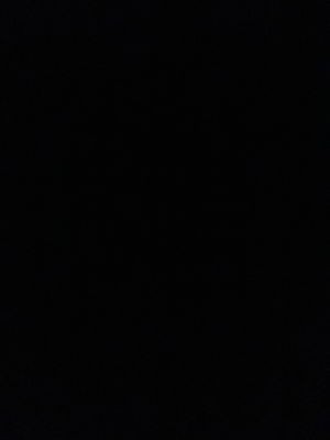 AlexAlbberttt's Profile Photo