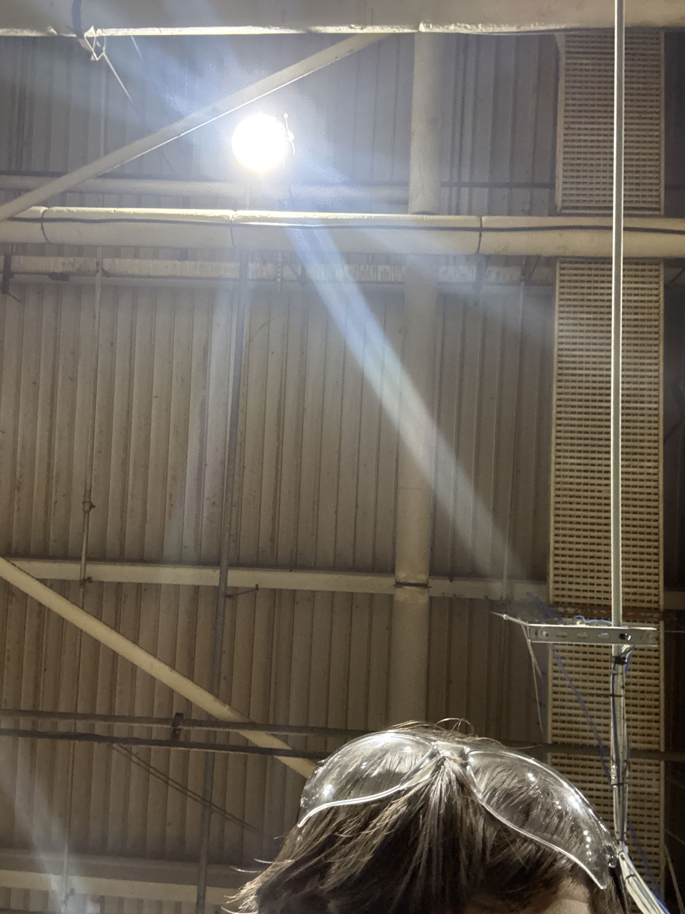 cherryethan70's Cover Photo