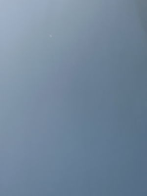 jalen's Profile Photo