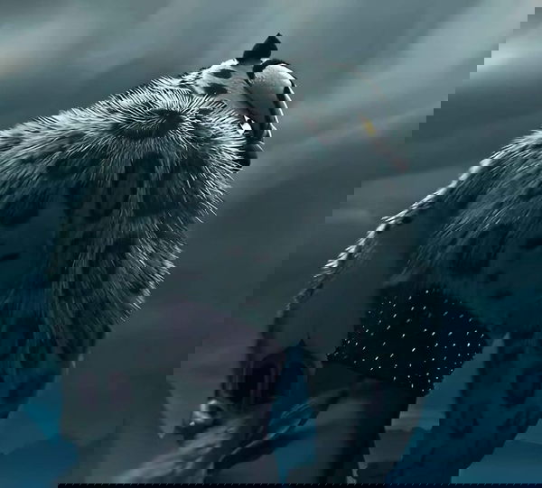 contrerastony2008, 18 years old from United States