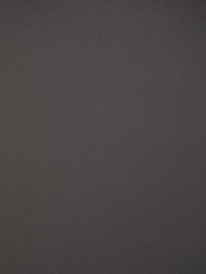 nekedsenki1234's Profile Photo