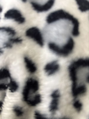 shtoubando123's Profile Photo