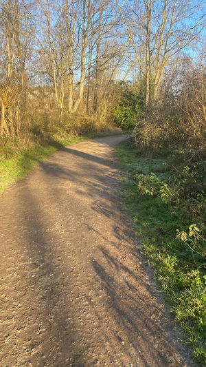 alexxx67's Profile Photo