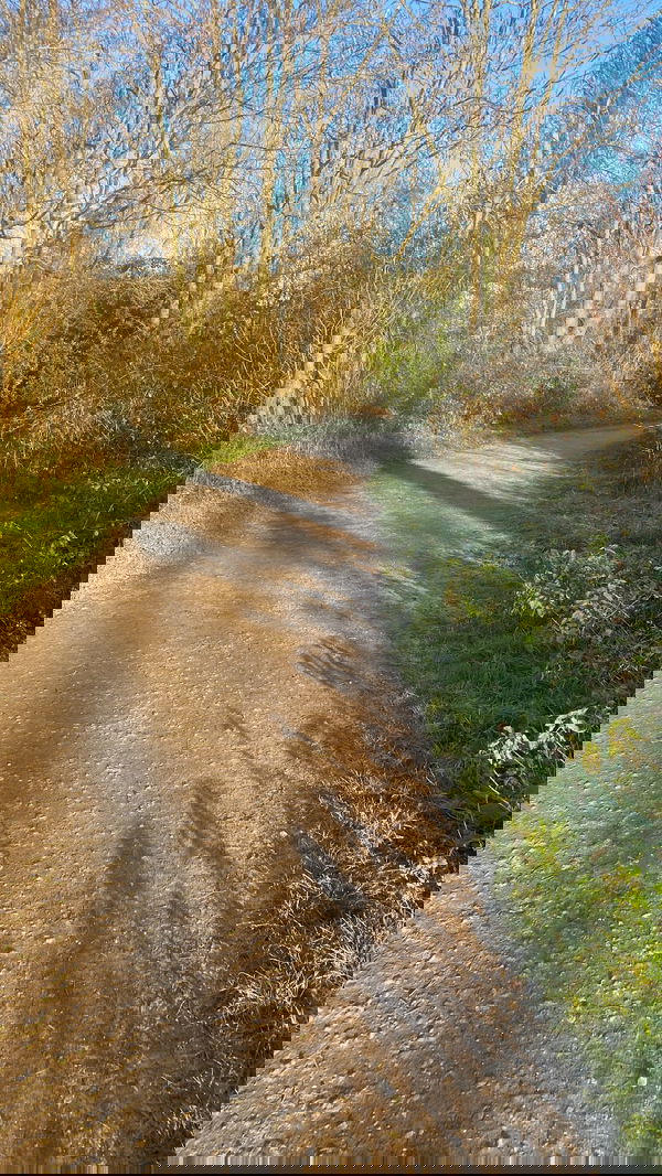 alexxx67, 22 years old from France