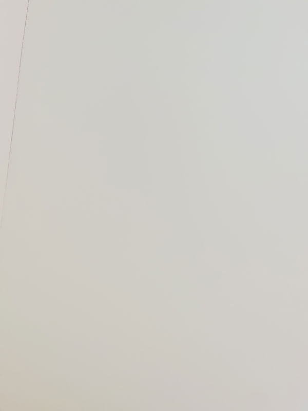 alexbenegr, 21 years old from Germany