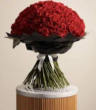 mnzooox73, 22 years old from Algeria