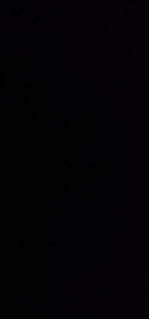 wiktoraxen21's Profile Photo