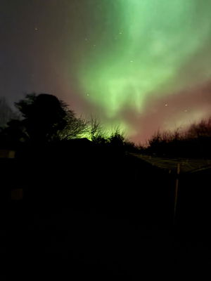 miloairey2022's Profile Photo