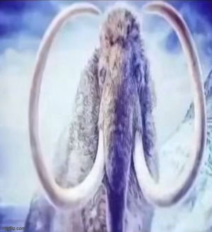 thatfreakyguy2009's Profile Photo