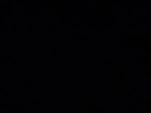 vishalyadav1108's Profile Photo