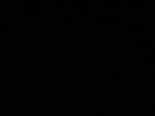 vishalyadav1108, 23 years old from India