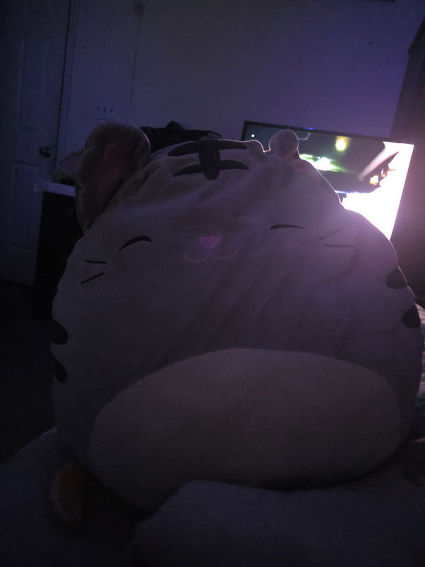 Cayleb, 18 years old from United States