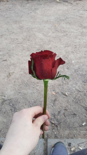 Lukasjt's Profile Photo