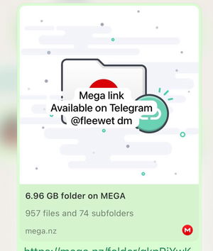 jntne77's Profile Photo