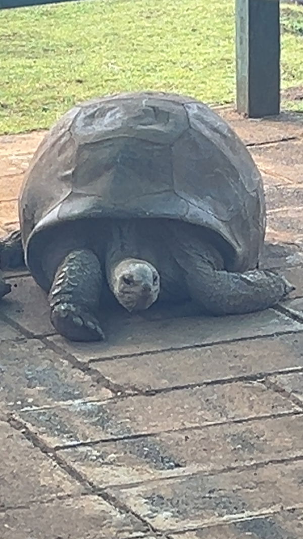 Nogo, 18 years old from Denmark