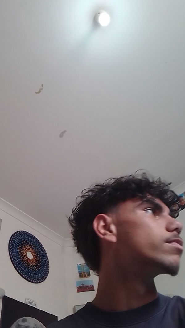 reidshiloh128, 19 years old from Australia