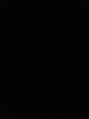 jack13's Profile Photo