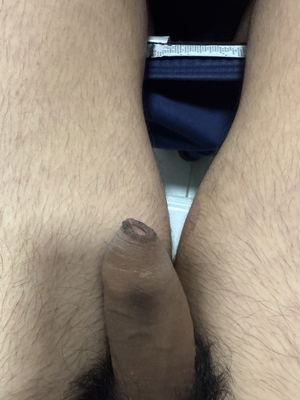 Max123's Profile Photo