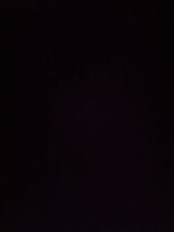 Sending_D_Pics, 21 years old from United States