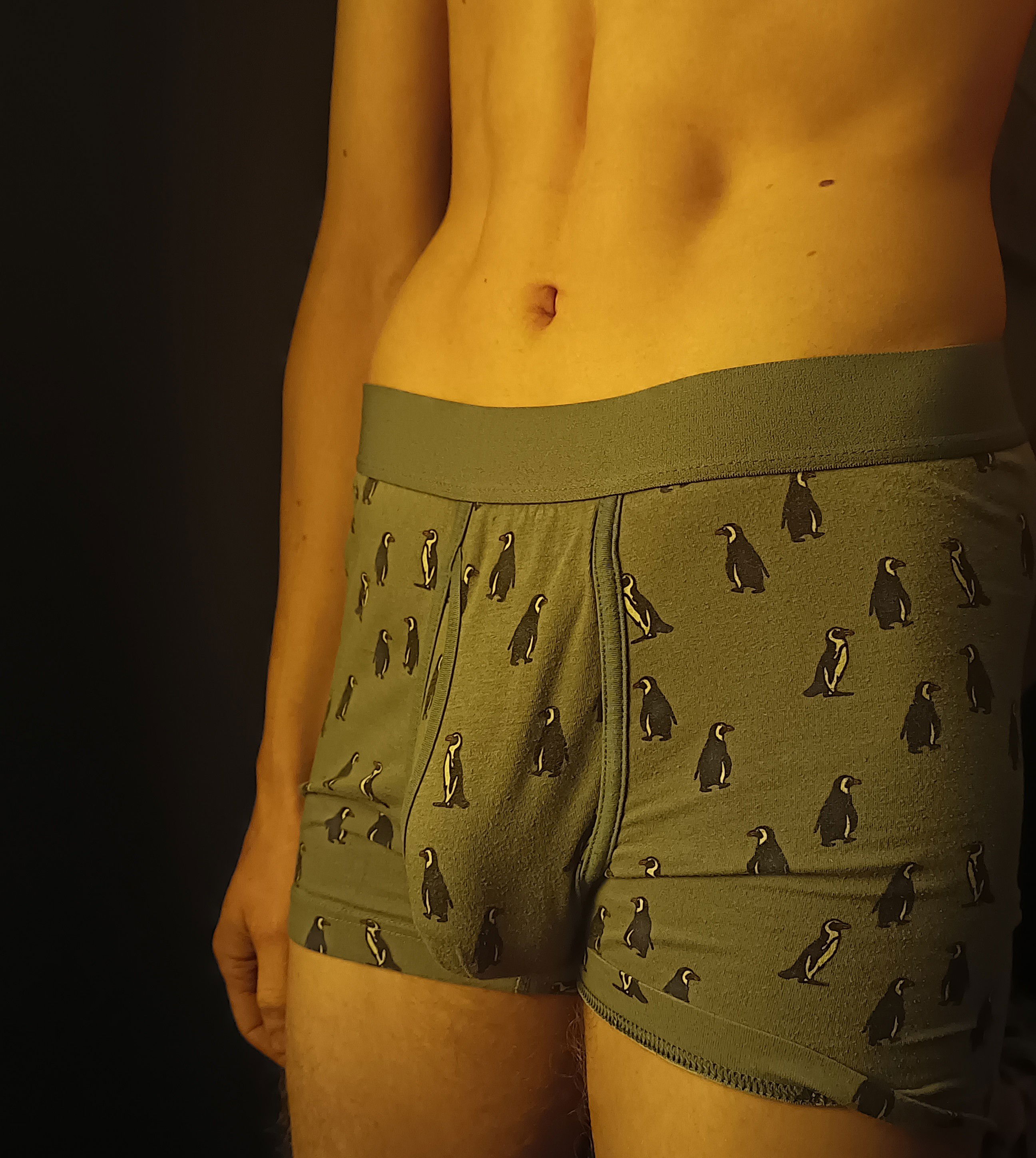 dywoll's Profile Photo